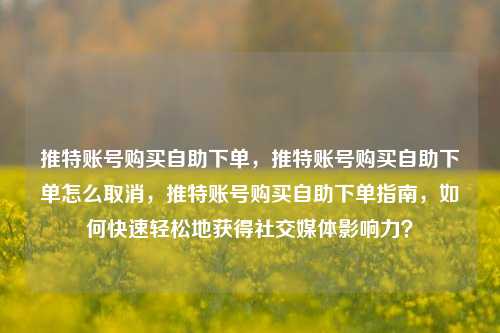 推特账号购买自助下单，推特账号购买自助下单怎么取消，推特账号购买自助下单指南，如何快速轻松地获得社交媒体影响力？
