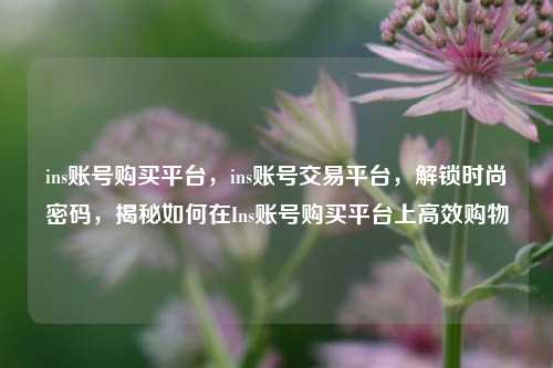 ins账号购买平台，ins账号交易平台，解锁时尚密码	，揭秘如何在Ins账号购买平台上高效购物  第1张