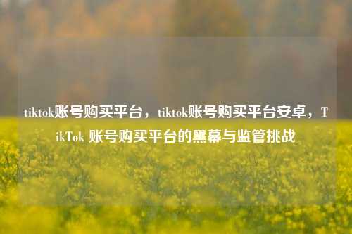 tiktok账号购买平台，tiktok账号购买平台安卓，TikTok 账号购买平台的黑幕与监管挑战