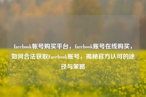 facebook帐号购买平台，facebook账号在线购买	，如何合法获取Facebook账号，揭秘官方认可的途径与策略  第1张