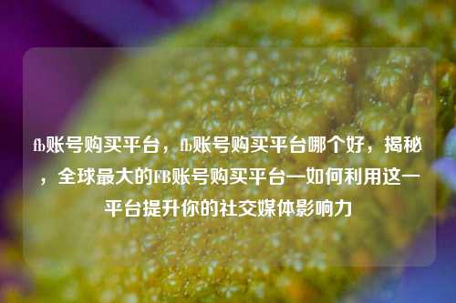 fb账号购买平台，fb账号购买平台哪个好，揭秘，全球最大的FB账号购买平台—如何利用这一平台提升你的社交媒体影响力