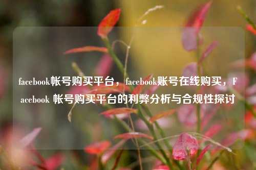 facebook帐号购买平台，facebook账号在线购买，Facebook 帐号购买平台的利弊分析与合规性探讨