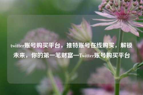 twitter账号购买平台，推特账号在线购买，解锁未来，你的第一笔财富—Twitter账号购买平台