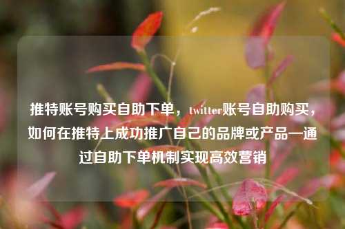 推特账号购买自助下单，twitter账号自助购买，如何在推特上成功推广自己的品牌或产品—通过自助下单机制实现高效营销