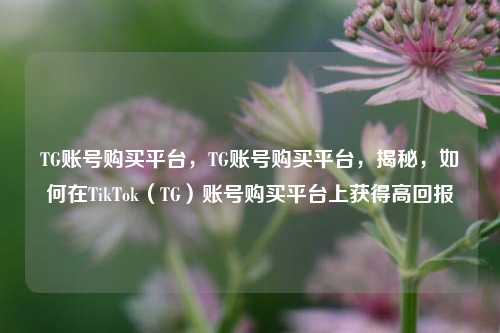 TG账号购买平台，TG账号购买平台，揭秘，如何在TikTok（TG）账号购买平台上获得高回报