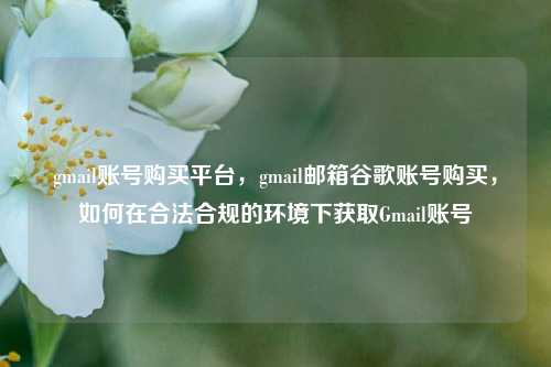 gmail账号购买平台，gmail邮箱谷歌账号购买，如何在合法合规的环境下获取Gmail账号