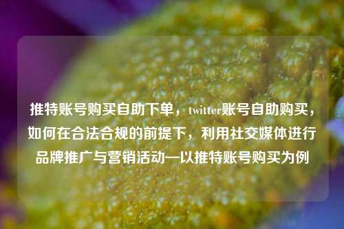 推特账号购买自助下单，twitter账号自助购买，如何在合法合规的前提下，利用社交媒体进行品牌推广与营销活动—以推特账号购买为例