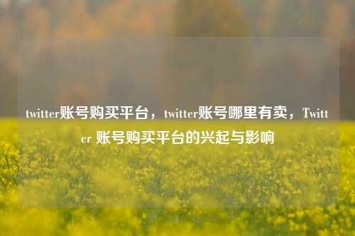 twitter账号购买平台，twitter账号哪里有卖，Twitter 账号购买平台的兴起与影响