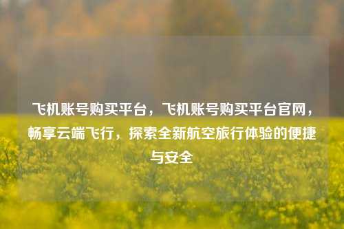 飞机账号购买平台，飞机账号购买平台官网，畅享云端飞行	，探索全新航空旅行体验的便捷与安全  第1张