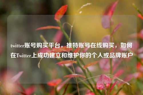 twitter账号购买平台，推特账号在线购买，如何在Twitter上成功建立和维护你的个人或品牌账户