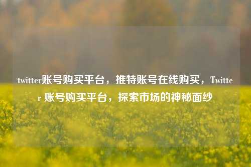 twitter账号购买平台，推特账号在线购买，Twitter 账号购买平台，探索市场的神秘面纱