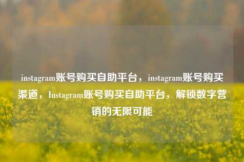 instagram账号购买自助平台，instagram账号购买渠道，Instagram账号购买自助平台，解锁数字营销的无限可能