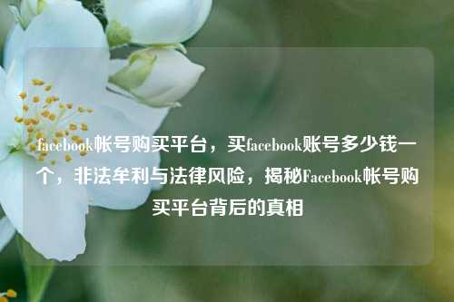 facebook帐号购买平台，买facebook账号多少钱一个，非法牟利与法律风险，揭秘Facebook帐号购买平台背后的真相