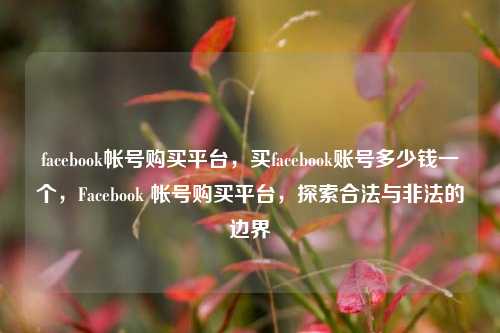 facebook帐号购买平台，买facebook账号多少钱一个，Facebook 帐号购买平台，探索合法与非法的边界