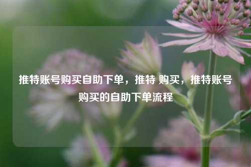 推特账号购买自助下单，推特 购买，推特账号购买的自助下单流程