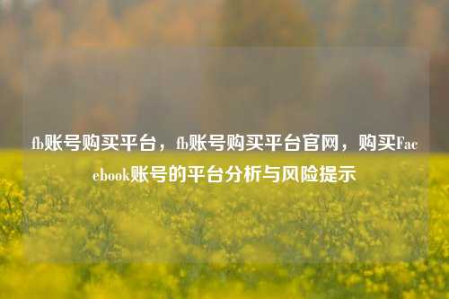 fb账号购买平台，fb账号购买平台官网，购买Facebook账号的平台分析与风险提示