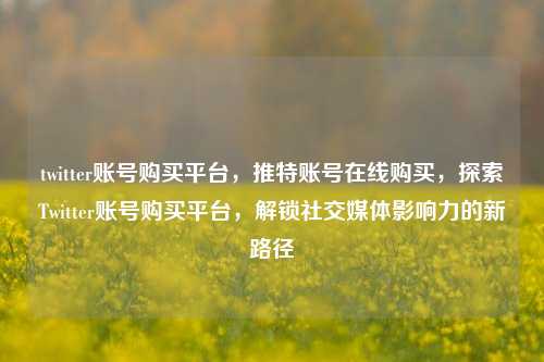 twitter账号购买平台，推特账号在线购买，探索Twitter账号购买平台，解锁社交媒体影响力的新路径