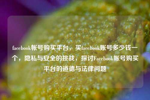 facebook帐号购买平台，买facebook账号多少钱一个，隐私与安全的挑战，探讨Facebook帐号购买平台的道德与法律问题