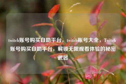 twitch账号购买自助平台，twitch账号大全，Twitch 账号购买自助平台，解锁无限观看体验的秘密武器