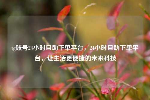 tg账号24小时自助下单平台，24小时自助下单平台，让生活更便捷的未来科技