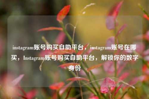 instagram账号购买自助平台，instagram账号在哪买，Instagram账号购买自助平台，解锁你的数字身份