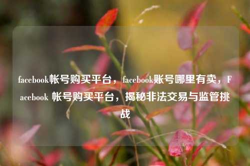 facebook帐号购买平台，facebook账号哪里有卖，Facebook 帐号购买平台，揭秘非法交易与监管挑战