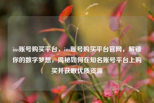 ins账号购买平台，ins账号购买平台官网，解锁你的数字梦想，揭秘如何在知名账号平台上购买并获取优质资源