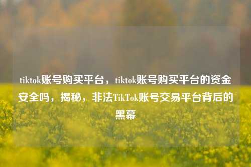 tiktok账号购买平台，tiktok账号购买平台的资金安全吗，揭秘，非法TikTok账号交易平台背后的黑幕