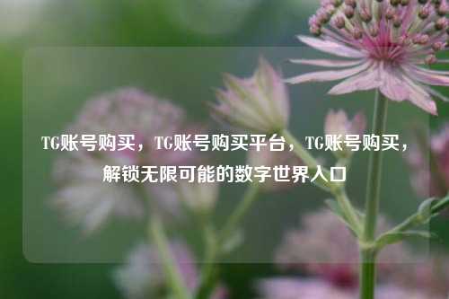 TG账号购买，TG账号购买平台，TG账号购买，解锁无限可能的数字世界入口