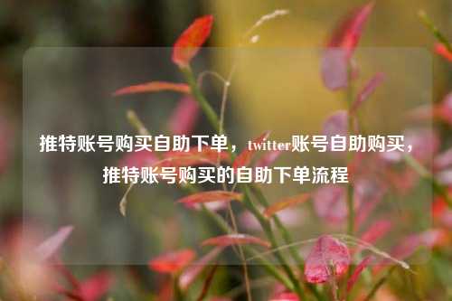 推特账号购买自助下单，twitter账号自助购买，推特账号购买的自助下单流程