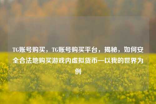 TG账号购买，TG账号购买平台，揭秘，如何安全合法地购买游戏内虚拟货币—以我的世界为例