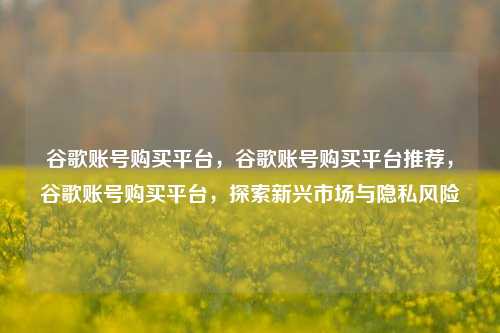 谷歌账号购买平台，谷歌账号购买平台推荐，谷歌账号购买平台，探索新兴市场与隐私风险