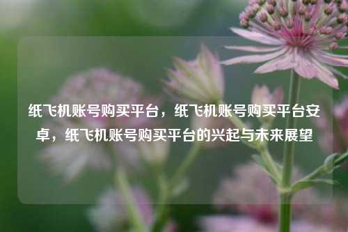 纸飞机账号购买平台，纸飞机账号购买平台安卓，纸飞机账号购买平台的兴起与未来展望