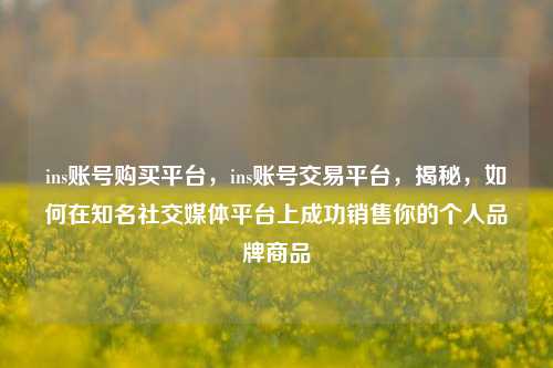 ins账号购买平台，ins账号交易平台，揭秘，如何在知名社交媒体平台上成功销售你的个人品牌商品