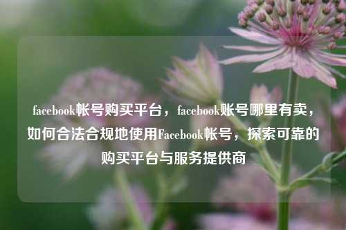 facebook帐号购买平台，facebook账号哪里有卖，如何合法合规地使用Facebook帐号，探索可靠的购买平台与服务提供商