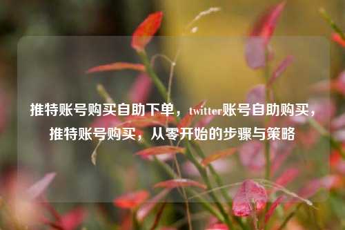 推特账号购买自助下单，twitter账号自助购买，推特账号购买，从零开始的步骤与策略