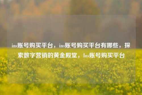 ins账号购买平台，ins账号购买平台有哪些，探索数字营销的黄金殿堂，Ins账号购买平台