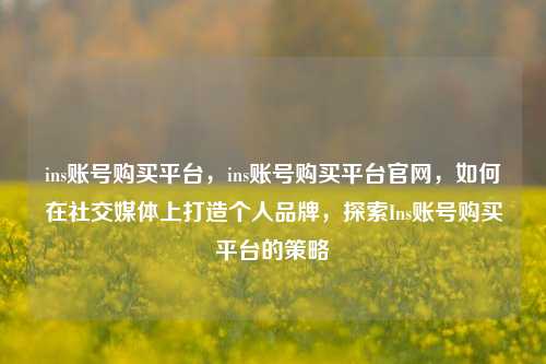 ins账号购买平台，ins账号购买平台官网，如何在社交媒体上打造个人品牌，探索Ins账号购买平台的策略