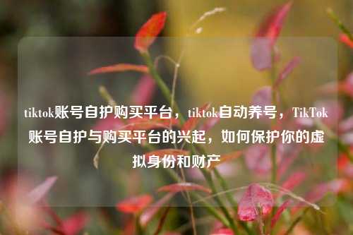 tiktok账号自护购买平台，tiktok自动养号，TikTok账号自护与购买平台的兴起，如何保护你的虚拟身份和财产