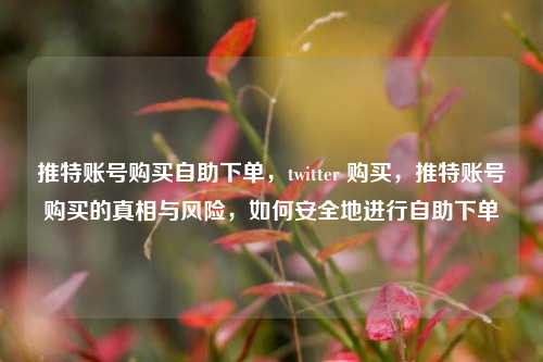 推特账号购买自助下单，twitter 购买，推特账号购买的真相与风险，如何安全地进行自助下单