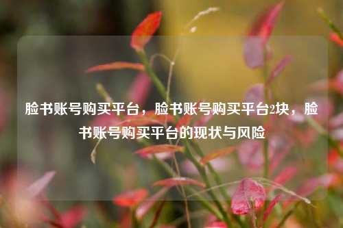 脸书账号购买平台，脸书账号购买平台2块，脸书账号购买平台的现状与风险