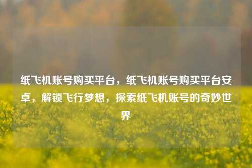 纸飞机账号购买平台，纸飞机账号购买平台安卓，解锁飞行梦想	，探索纸飞机账号的奇妙世界  第1张
