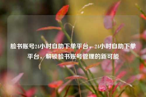 脸书账号24小时自助下单平台，24小时自助下单平台，解锁脸书账号管理的新可能