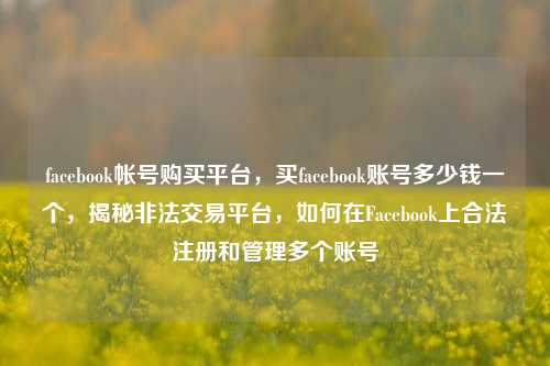 facebook帐号购买平台，买facebook账号多少钱一个，揭秘非法交易平台，如何在Facebook上合法注册和管理多个账号