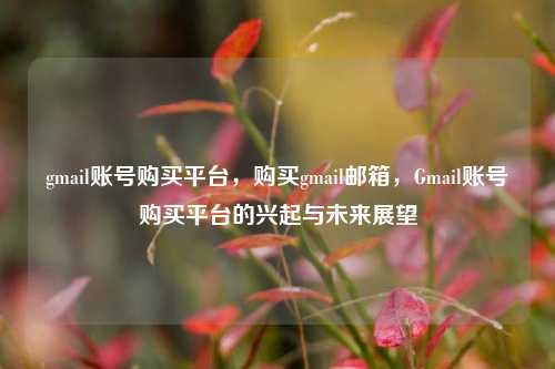 gmail账号购买平台，购买gmail邮箱，Gmail账号购买平台的兴起与未来展望