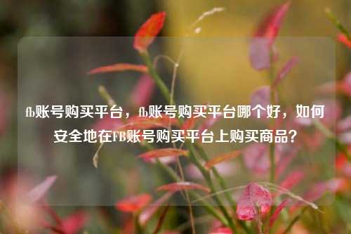fb账号购买平台，fb账号购买平台哪个好	，如何安全地在FB账号购买平台上购买商品？  第1张