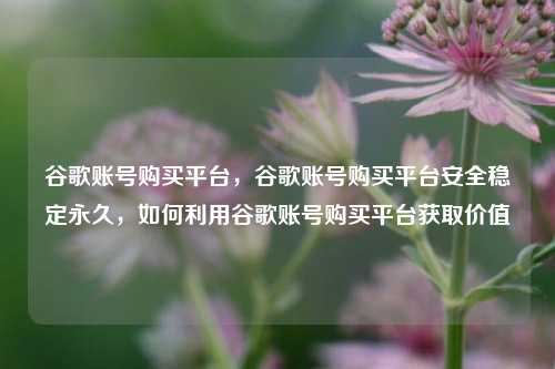 谷歌账号购买平台，谷歌账号购买平台安全稳定永久，如何利用谷歌账号购买平台获取价值