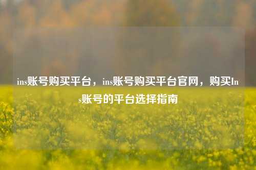 ins账号购买平台，ins账号购买平台官网，购买Ins账号的平台选择指南