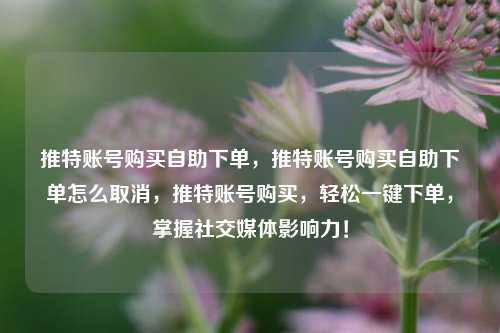 推特账号购买自助下单，推特账号购买自助下单怎么取消，推特账号购买，轻松一键下单，掌握社交媒体影响力！
