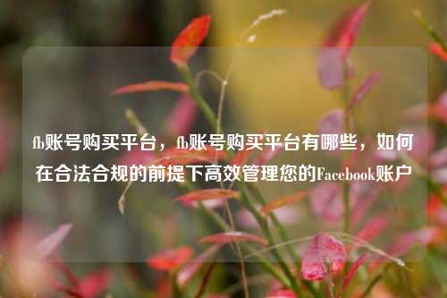 fb账号购买平台，fb账号购买平台有哪些，如何在合法合规的前提下高效管理您的Facebook账户